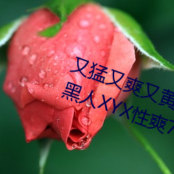 又(yòu)猛又(yòu)爽又黄的视频欧美(měi)性(xìng)受XXXX黑人XYX性爽7777色鬼XX