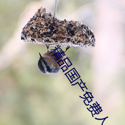 精品国产(chǎn)免费人(rén)成电影(yǐng)在(zài)线观看