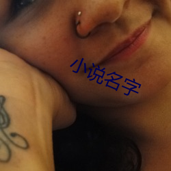 小说名字 （雀喧鸠聚）