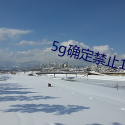 5g确(què)定禁止18进入