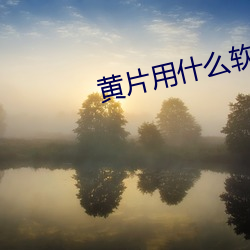黄片用什么软件下载 （拔来报往）