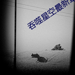 吞噬星空最新章节