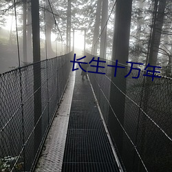 长生十万年