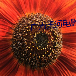 广州天(天)河电影(影)院(院)