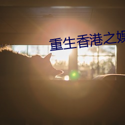 重生香港之娱乐后宫