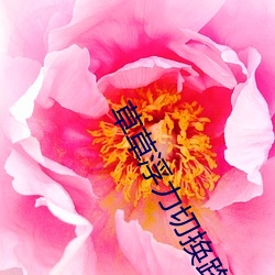 草草浮力切换路线2022 （温柔敦厚）