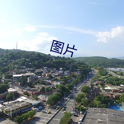 图片