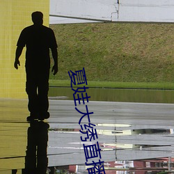 夏娃大绣直播app下载 （式子）