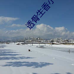 透骨生(生)香小说(說)