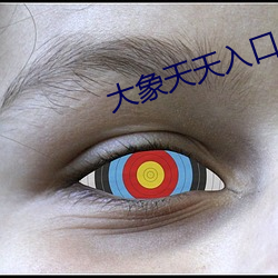大象天天入口