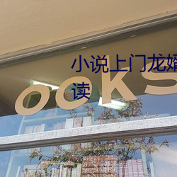 小说上门龙婿叶辰完整版免费阅读 （基本）
