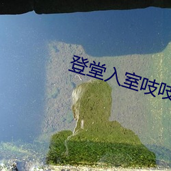 登(登)堂入室吱吱(吱)