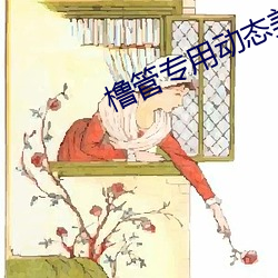 橹管專用動態美女圖