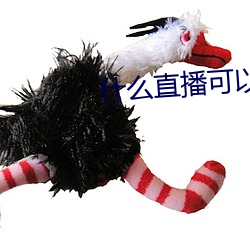 什么直播可以看那个东西