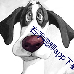 右手视频app下载