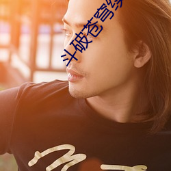 斗破苍(cāng)穹续(xù)集(jí)