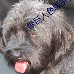 绿(綠)巨人(人)色版拼(拼)多(多)多(多)