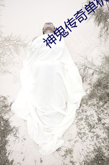 神鬼傳奇單機八職業