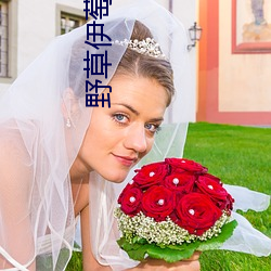 野草伊萄园 （绳愆纠违）