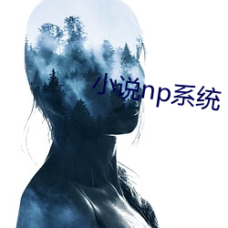 小說np系統