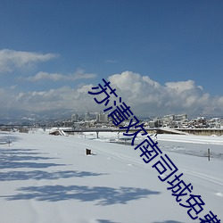 蘇清歡南司城免費閱讀全文