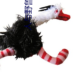 人与野(yě)鲁 毛片