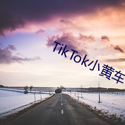 TikTok小黃車