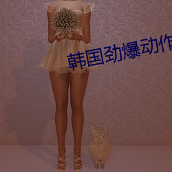 韓國勁爆動作片