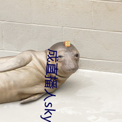 成(chéng)直播(bō)人sky