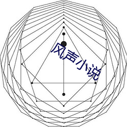 风声小说