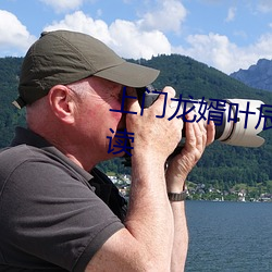 上门龙婿叶辰完整版免费全文阅读 （晚霜）