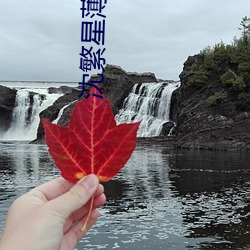 沈繁星薄景川完整版小说免费阅读