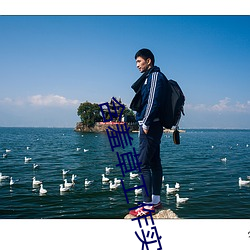 含羞草工作(作)实验(驗)室入口