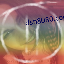 dsn8080.com