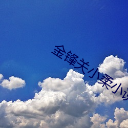 金锋关小柔小说 （冢中枯骨）