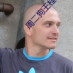 周二狗王桂香狂野小农民
