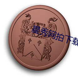 星秀网拍下载 （足银）