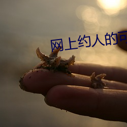 网上约人的可靠吗 （东施效颦）