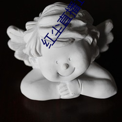红尘(塵)直播(播)137tv下载