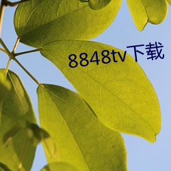 8848tv下载 （知识分子）