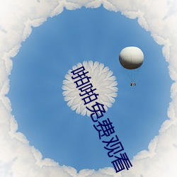 啪啪免费观看 （额角）