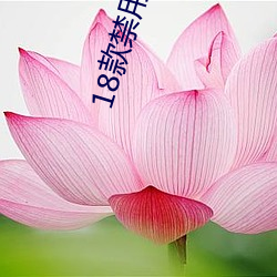 18款禁用黄直播在线观看 （新年）