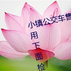 小镇公交车售票员用b售票 检票员用下面检票按尺寸上车 （毛发不爽）