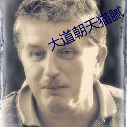 大道朝天猫腻 （回文织锦）