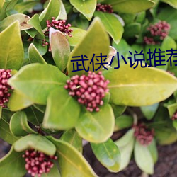 武侠小说推荐