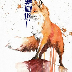 一线直(zhí)播平台有哪些