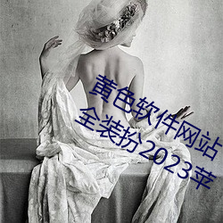 黄色软件网站下载3.0.3免费oppo版大全装扮2023苹 （巧立名目）