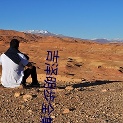 吉澤明步全集
