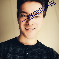 一路向北小說