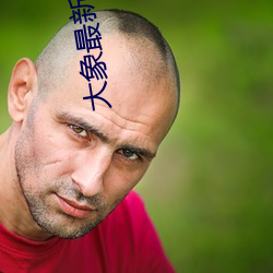 大象最新永久地域网(網)名